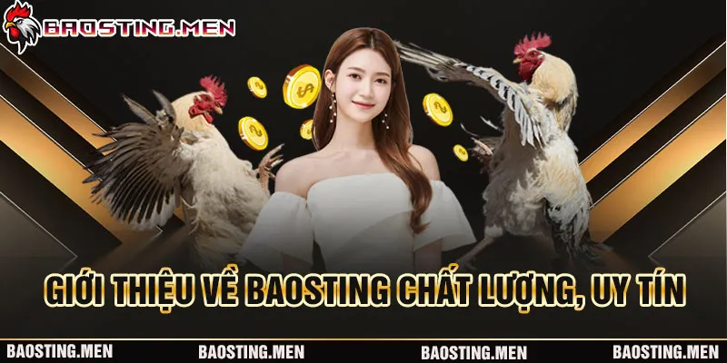 Giới thiệu về BAOSTING chất lượng, uy tín