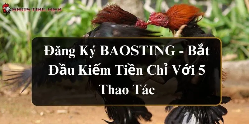 dang-ky-baosting